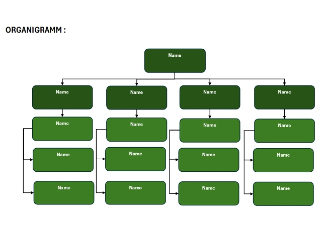 excel organigramm vorlage