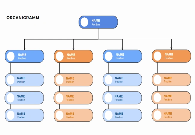 organigramm powerpoint