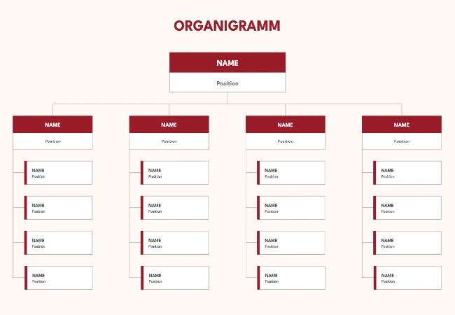 organigramm vorlage word