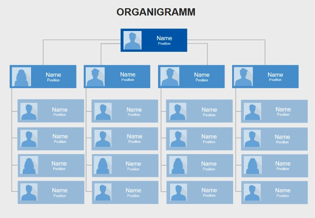organigramm word vorlage download