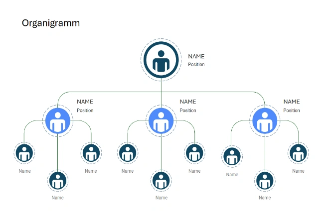 organigramm word
