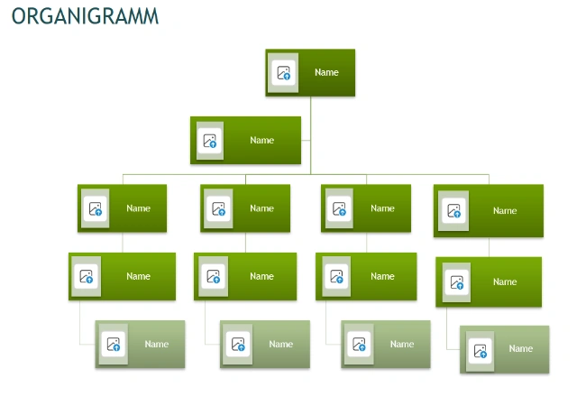 vorlage organigramm excel