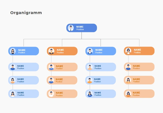 vorlage organigramm word