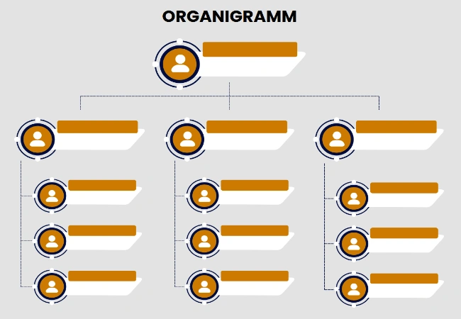 vorlage organigramm